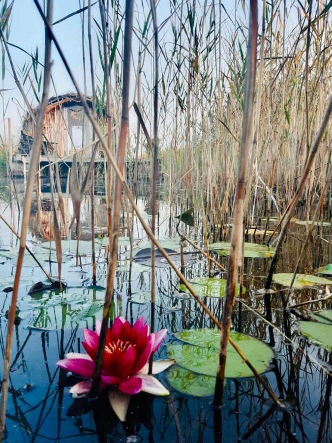Bebru Maja - Beaver House อุสมา ภายนอก รูปภาพ